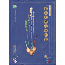 云南天然药物图鉴（第4卷）