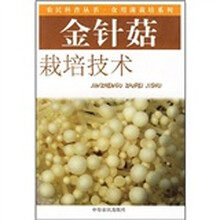 金针菇栽培技术