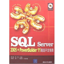 53·QL Server2005-PowerBu1lder11高级开发指南（附光盘）