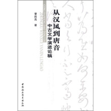 从汉风到唐音：中古文学演进论稿