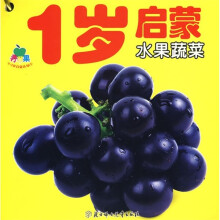 0-3岁启蒙认知：1岁启蒙（第1辑）（共6册）