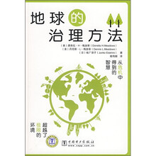 地球的治理方法