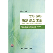 工业企业能源管理体系