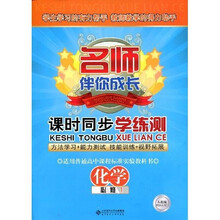 名师伴你成长·课时同步学练测：化学（必修1）（人教版）（附赠测试卷）