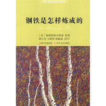 钢铁是怎样炼成的（新版）