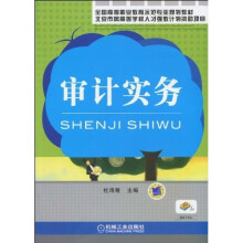 审计实务