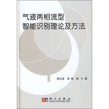 气液两相流型智能识别理论及方法