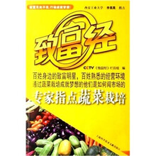 致富经:专家指点蔬菜栽培