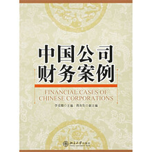 中国公司财务案例