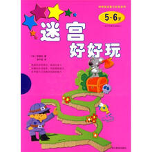 神奇宝宝智力开发系列:好好玩(5-6岁)(套装共4册)