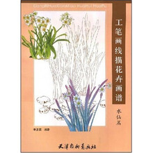 工笔画线描花卉画谱（水仙篇）