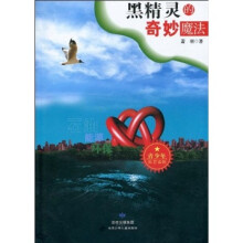 黑精灵的奇妙魔法