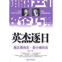 英杰逐日：施正荣向左·彭小峰向右