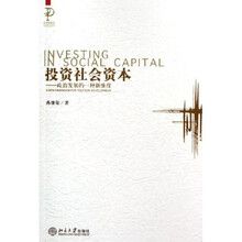 投资社会资本：政治发展的一种新维度