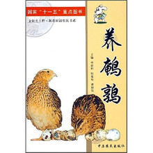 养鹌鹑