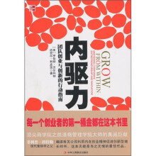 内驱力:团队创业与创新的行动指南
