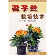 君子兰栽培技术