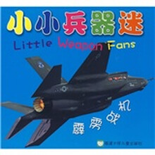 小小兵器迷：霹雳战机