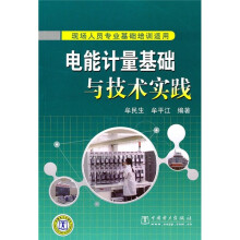 电能计量基础与技术实践