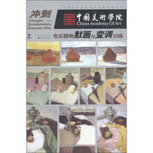 冲刺三大美术学院全程训练系列：色彩静物默画与变调训练