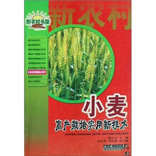 新农村书屋：小麦高产栽培实用新技术