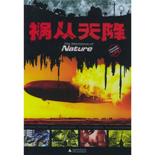 祸从天降(人祸卷)