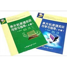 单片机原理实训与学习指导(套装)(上下册)