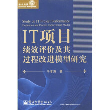 IT项目绩效评价及其过程改进模型研究