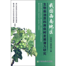 我国西南地区生物柴油原料麻疯树发展潜力研究