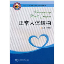 正常人体结构
