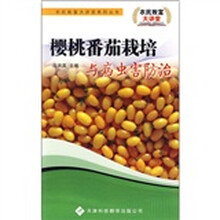 樱桃番茄栽培与病虫害防治