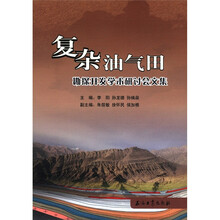 复杂油气田（勘探开发学术研讨会文集）