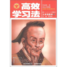 清华北大学子·高效学习法：9年级数学（下）（人教实验版）