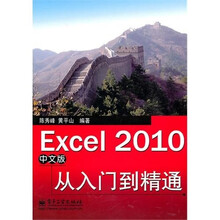 Excel 2010中文版从入门到精通