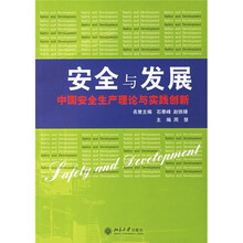安全与发展:中国安全生产理论与实践创新