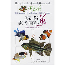 观赏鱼家养百科:识鱼 养鱼 赏鱼