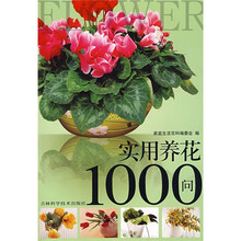 实用养花1000问