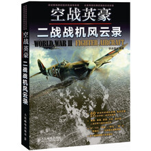 空战英豪：二战战机风云录