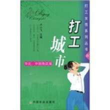 打工城市（华北、中部地区版）