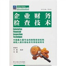 企业财务检查技术
