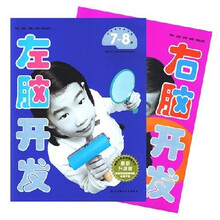 左右脑开发（7-8岁）（最新升级版）（套装共2册）