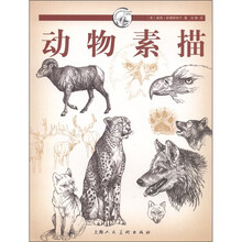 动物素描