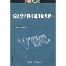 高级变结构控制理论及应用