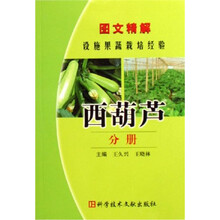 图文精解设施果蔬栽培经验：西葫芦分册