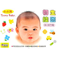 小小孩：初生挂图（0-12个月）