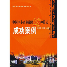 中国中小企业融资28种模式成功案例