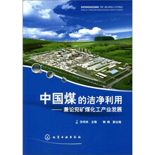 中国煤的洁净利用--兼论兖矿煤化工产业发展