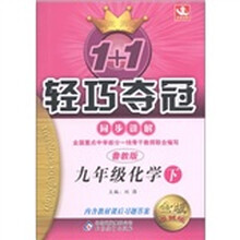 1+1轻巧夺冠·同步讲解：9年级化学（下）（鲁教版）（金版·卓越版）