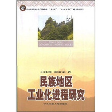 民族地区工业化进程研究