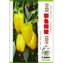 图文精解彩色辣椒种植技术